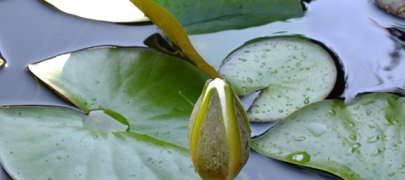 Casa de 5 divisões em Kronach, Germany N.º 355491 5