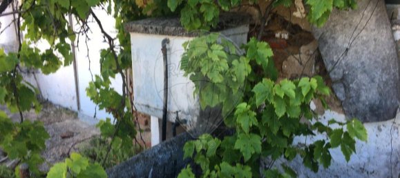 4 غرف نوم منزل في Sardoal, Portugal رقم 20624 14