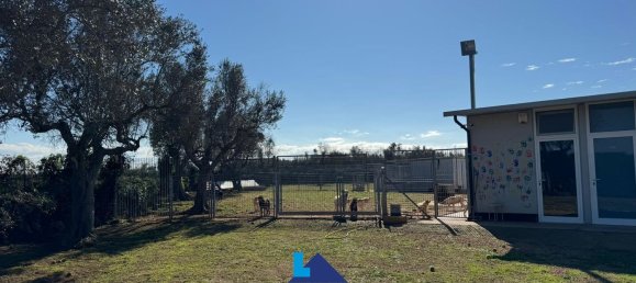 Гараж 1380м² в Soleto, Италия № 289616 4