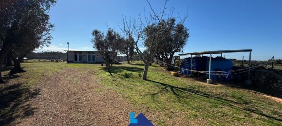 Гараж 1380м² в Soleto, Италия № 289616 5