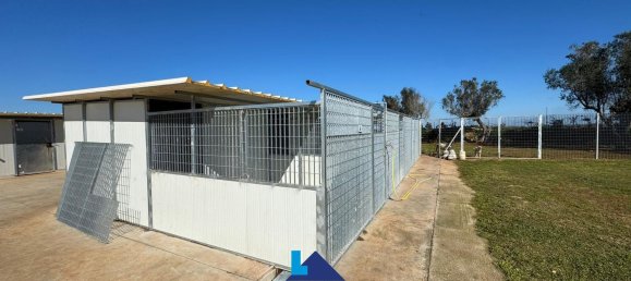 Гараж 1380м² в Soleto, Италия № 289616 13