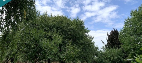 Дом с 2 спальнями в Сьель, Франция № 289845 4