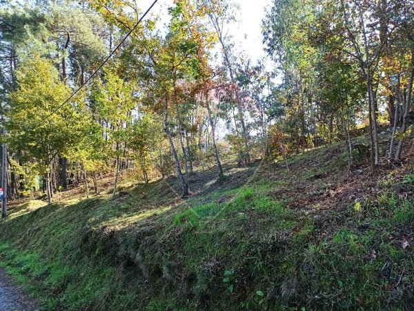 593m² Land in Arcos de Valdevez, Portugal No. 59487