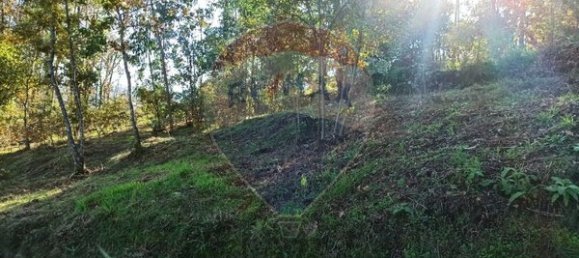 593m² Land in Arcos de Valdevez, Portugal No. 59487 2