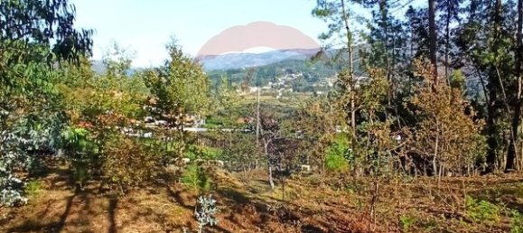 593m² Land in Arcos de Valdevez, Portugal No. 59487 4