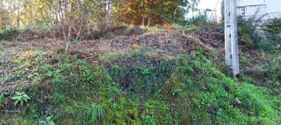 593m² Land in Arcos de Valdevez, Portugal No. 59487 3