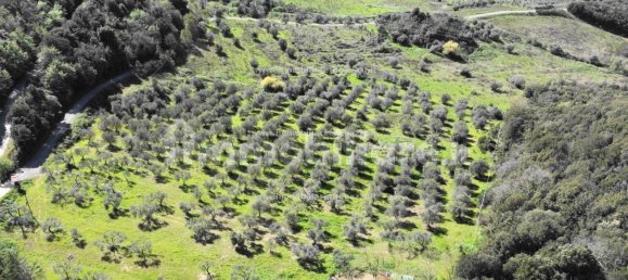 Grundstück in Montaione, Italy 427691m², Nr. 272635 6