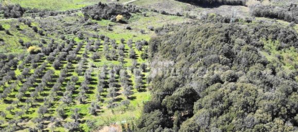 Grundstück in Montaione, Italy 427691m², Nr. 272635 7