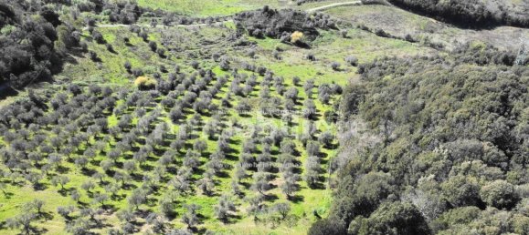 Grundstück in Montaione, Italy 427691m², Nr. 272635 8