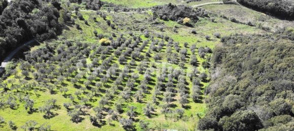 Grundstück in Montaione, Italy 427691m², Nr. 272635 5