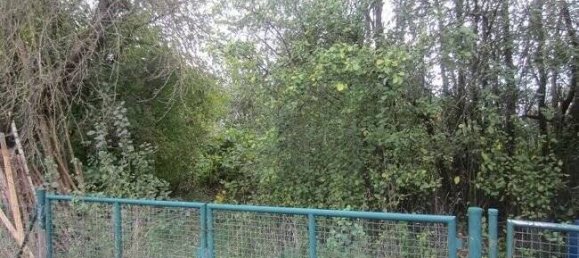  Land in Kelheim, Germany No. 178852 4