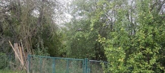  Land in Kelheim, Germany No. 178852 5