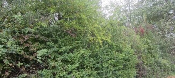  Land in Kelheim, Germany No. 178852 3