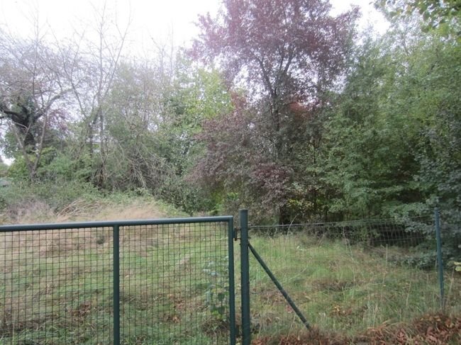  Land in Kelheim, Germany No. 178852