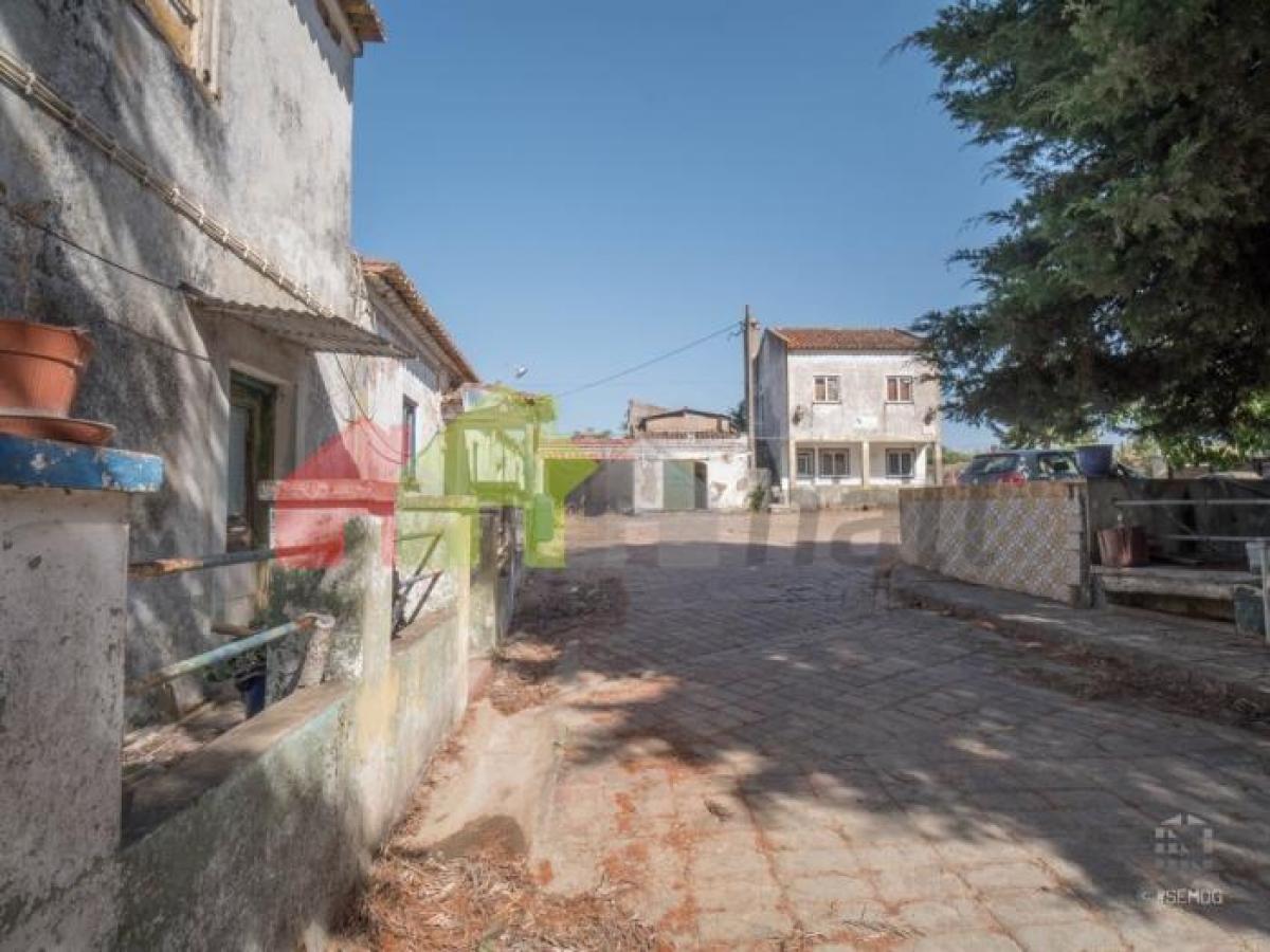 5 bedrooms House in Beja, Portugal No. 156