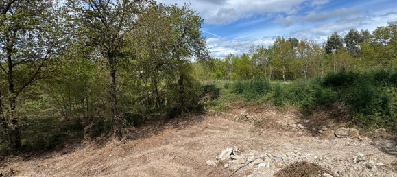 Terreno en Freamunde, Portugal No. 45724 19