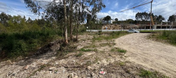 Terreno en Freamunde, Portugal No. 45724 17