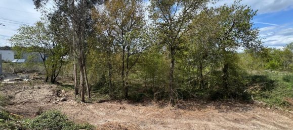 Terreno en Freamunde, Portugal No. 45724 9