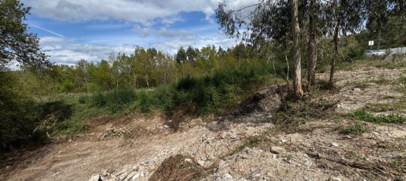 Terreno en Freamunde, Portugal No. 45724 4