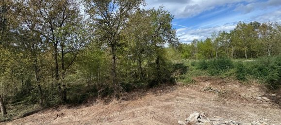 Terreno en Freamunde, Portugal No. 45724 12