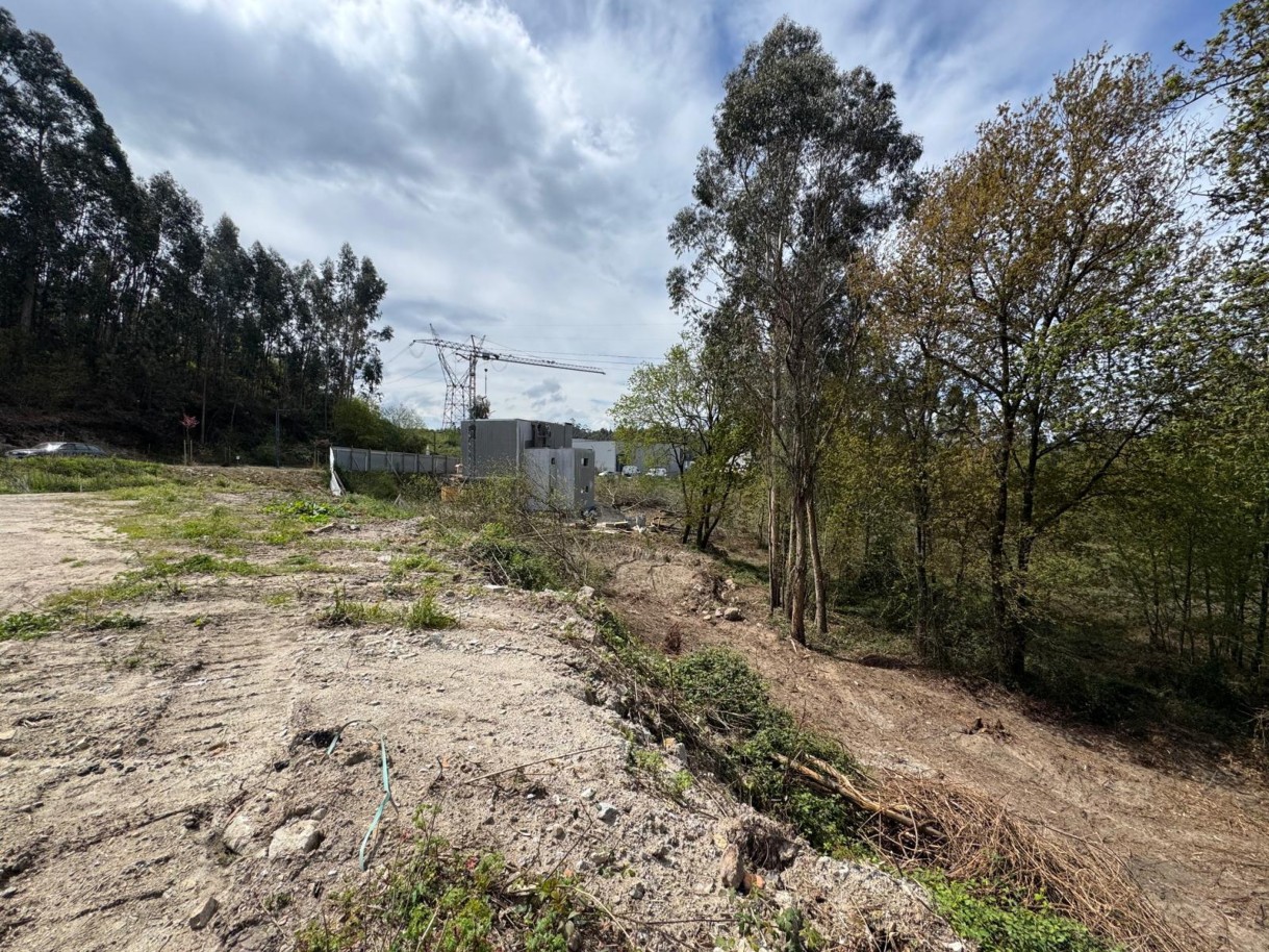 Terreno en Freamunde, Portugal No. 45724