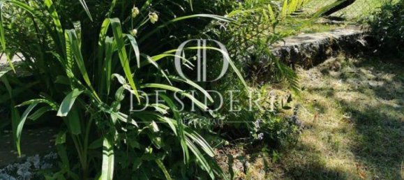 5 rooms Villa in Villa Collemandina, Italy No. 23347 13