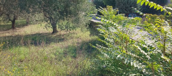 Grundstück in Guardia Sanframondi, Italy, Nr. 312672 14