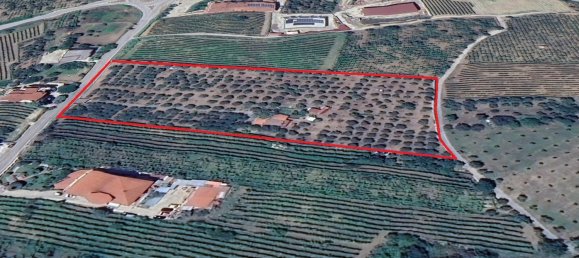 Grundstück in Guardia Sanframondi, Italy, Nr. 312672 2