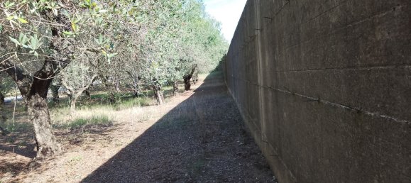Grundstück in Guardia Sanframondi, Italy, Nr. 312672 19