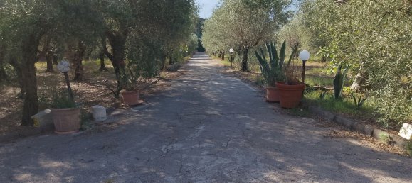 Grundstück in Guardia Sanframondi, Italy, Nr. 312672 31