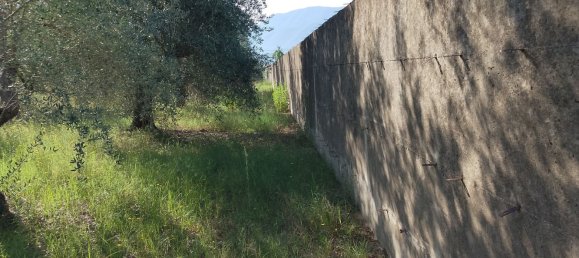 Grundstück in Guardia Sanframondi, Italy, Nr. 312672 26
