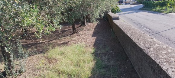 Grundstück in Guardia Sanframondi, Italy, Nr. 312672 25