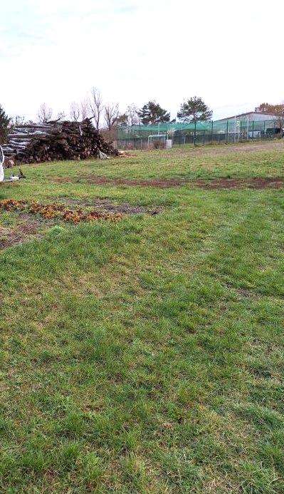 11 rooms House in Brandenburg, Germany No. 14571