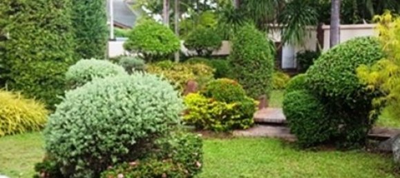 3 Schlafzimmer Cafe / Restaurant in Pattaya, Thailand, Nr. 933 5