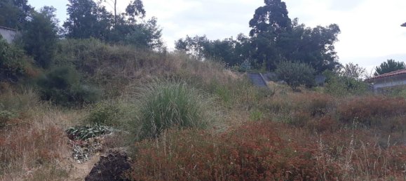 537m² Land in Viana do Castelo, Portugal No. 75921 8