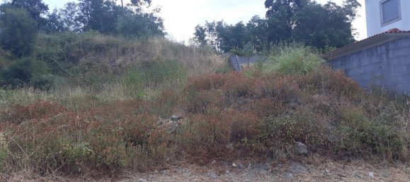 537m² Land in Viana do Castelo, Portugal No. 75921 17