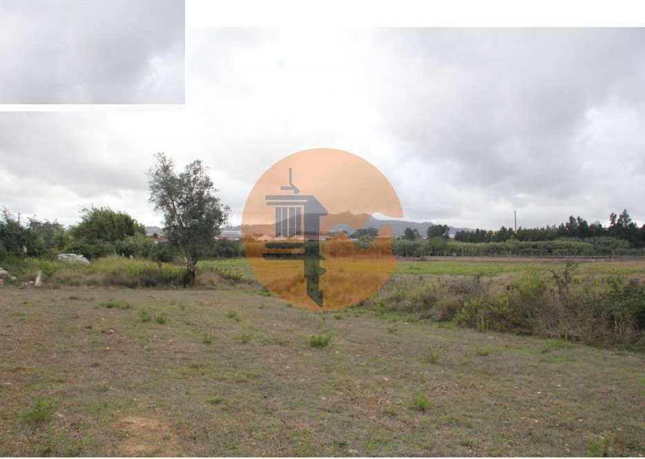  قطعة أرض في Sintra, Portugal رقم 250699