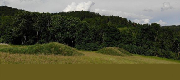 Terrain à Magdalensberg, Austria 2000m² No. 210245 22