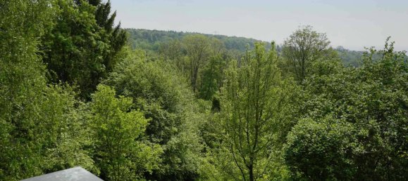 7-Zimmer Haus in Baden-Württemberg, Germany, Nr. 69975 18