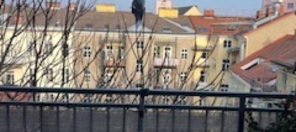 Studio in Jakomini, Austria No. 214802 16