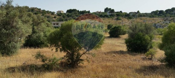 12500m² Land in Noto, Italy No. 108947 5