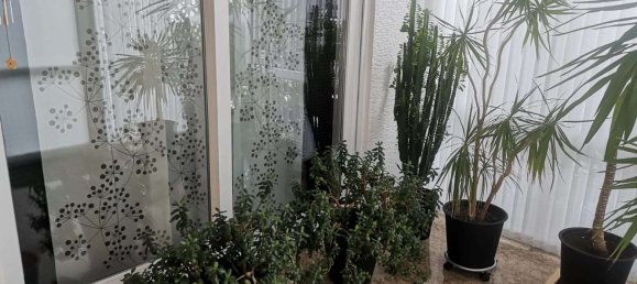 Bungalow de 6 divisões em Westerwaldkreis, Germany N.º 78568 3