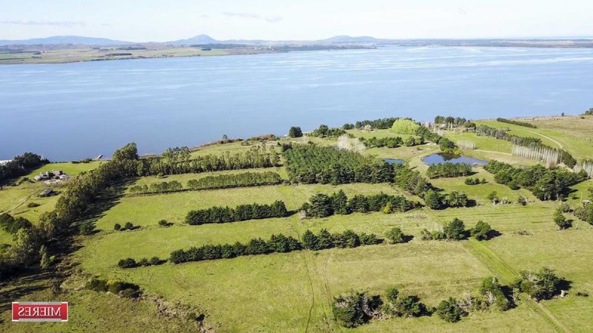 Bauernhof in Maldonado, Uruguay, Nr. 15588