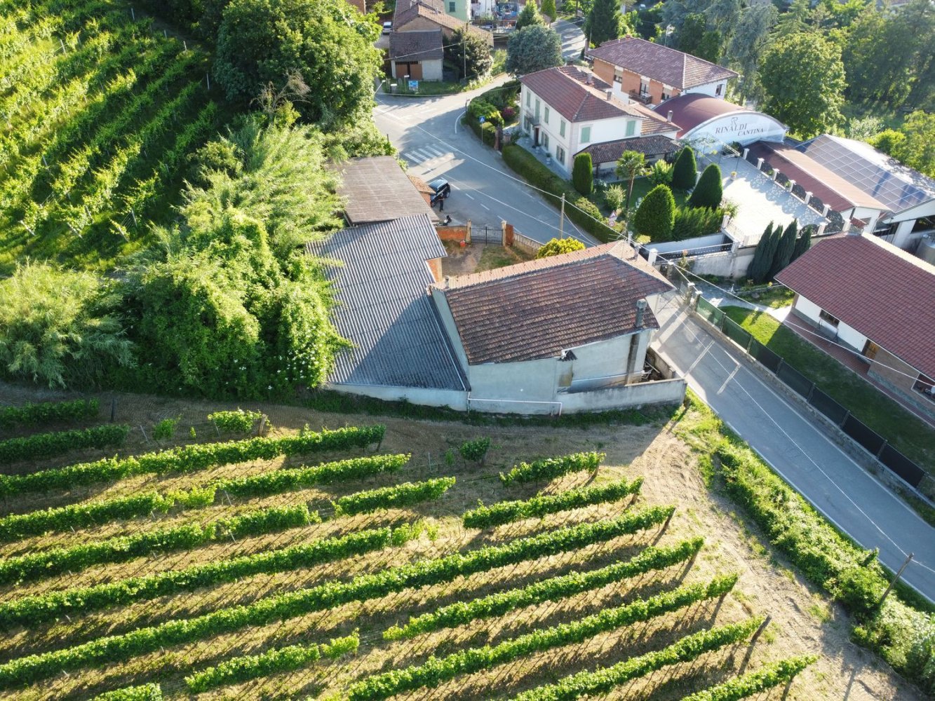 7-Zimmer Haus in Ricaldone, Italy, Nr. 151102