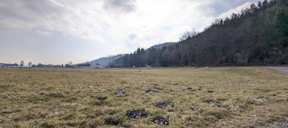  قطعة أرض في Pfaffstatt, Austria 1100متر مربع رقم 109854 2