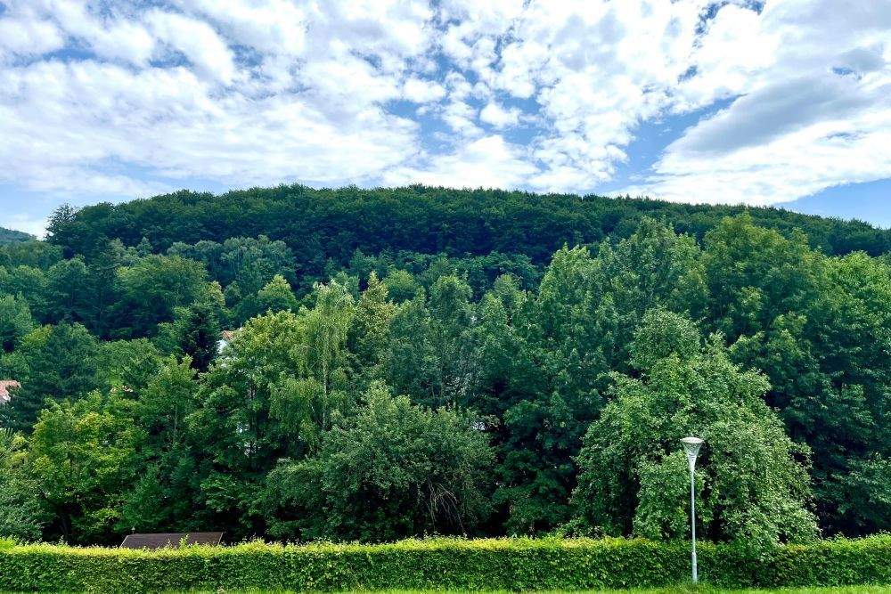 6 rooms House in Pressbaum, Austria No. 186464