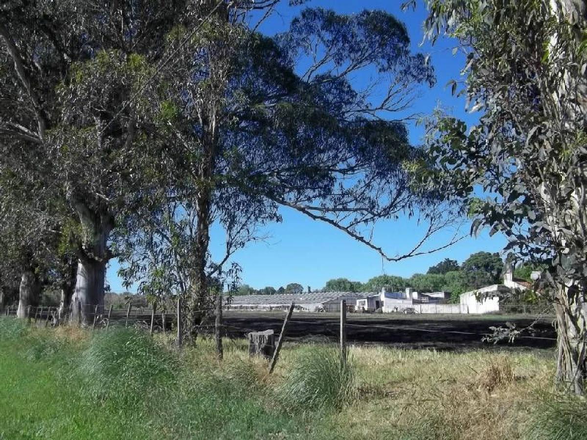 Terrain à General Pueyrredon, Argentina No. 36536