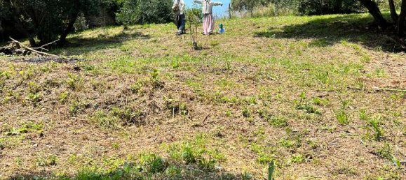 4 rooms Apartment in Morlupo, Italy No. 224569 13