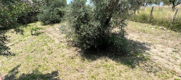 4 rooms Apartment in Morlupo, Italy No. 224569 12