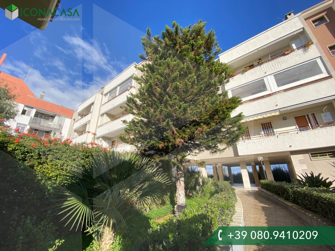 4-Zimmer Gewerbliche Immobilie in Modugno, Italy, Nr. 22080